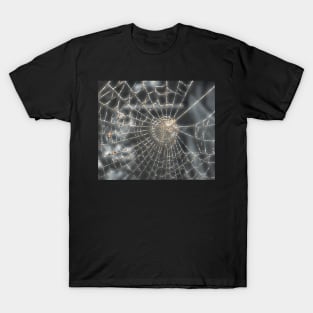 Spiderweb, in autumn. T-Shirt